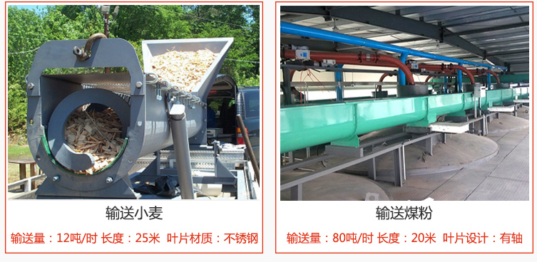 絞龍螺旋輸送機(jī)輸送小麥輸送量在12噸/時(shí)，長(zhǎng)度為25米，葉片采用不銹鋼材質(zhì)；輸送水泥輸送量在80噸/時(shí)，長(zhǎng)度為20米，葉片設(shè)計(jì)為有軸。
